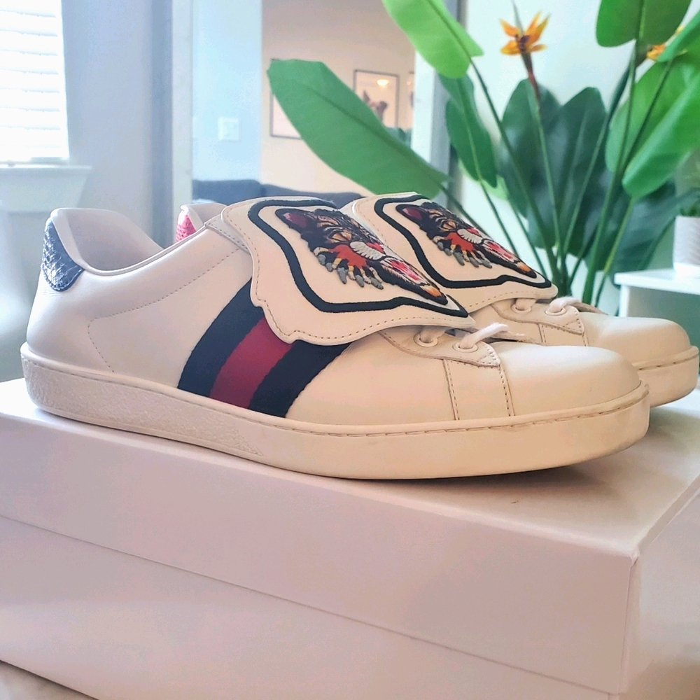Gucci Sneakers